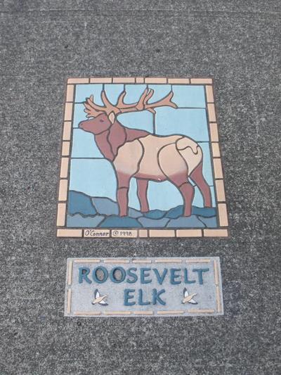 Long Beach Sidewalk Art