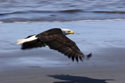 Long Beach, WA