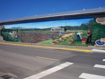 Long Beach Murals