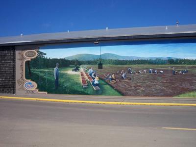 Long Beach Murals