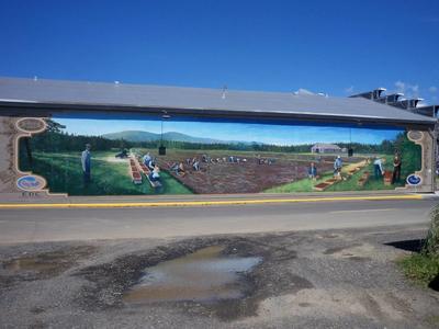 Long Beach Murals